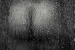 IMG_8068