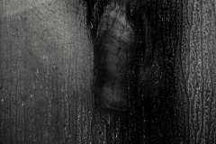 IMG_8072