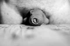 anonymous2