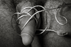 anonymous3